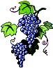 Разведение виноградников