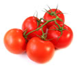 помидоры выращивание